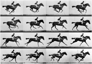 Muybridge's The Horse in Motion